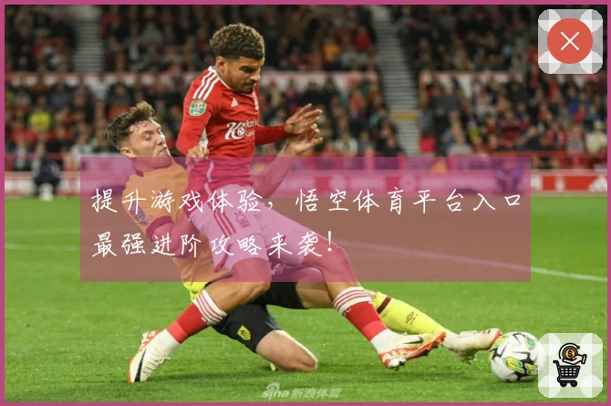 提升游戏体验，悟空体育平台入口最强进阶攻略来袭！